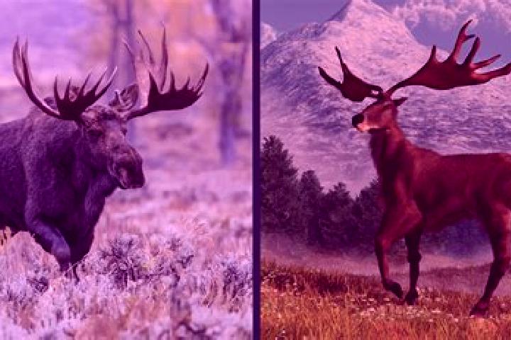 Pirots 3 vs Pirots 4: Comparing ELK s Avian Slot Heavyweights